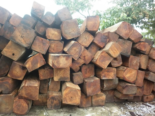 nhap khau go - Thủ tục nhập khẩu gỗ