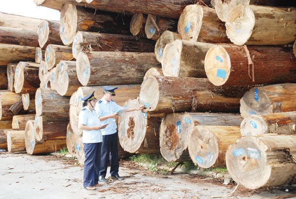 thu tuc nhap khau go - Thủ tục nhập khẩu gỗ