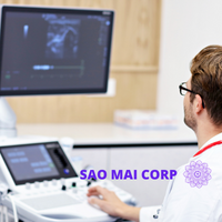 SAO MAI CORP 200 x 200 px - Đăng ký lưu hành máy siêu âm chẩn đoán-Thủ tục nhập khẩu máy siêu âm chẩn đoán