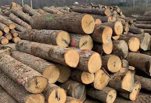 xuat khau go - Thủ tục xuất khẩu gỗ ra thị trường nước ngoài - Cập nhập mới nhất