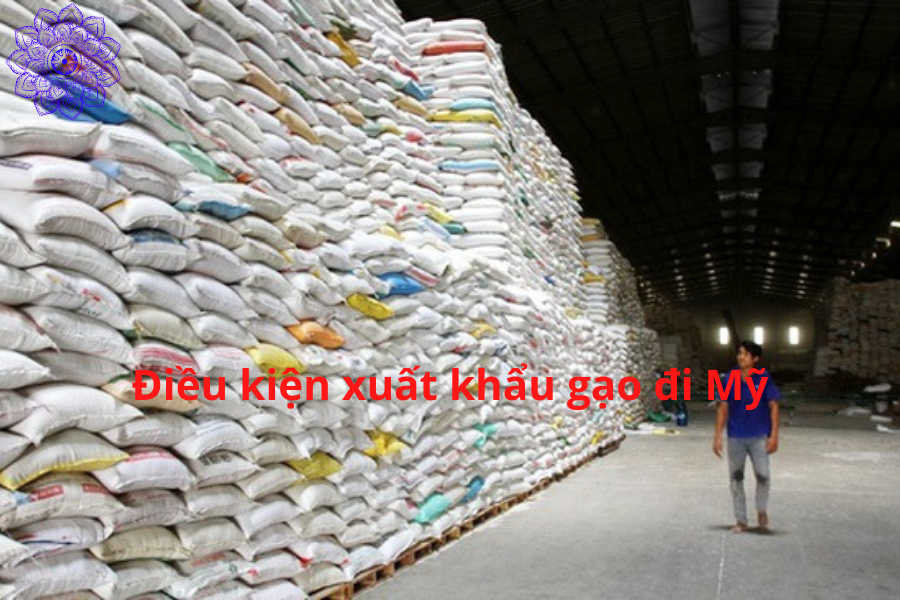 dieu kien xuat khau gao - Thủ tục xuất khẩu gạo đi Mỹ