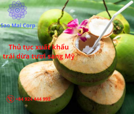 Thủ tục xuất khẩu trái dừa tươi đi Mỹ