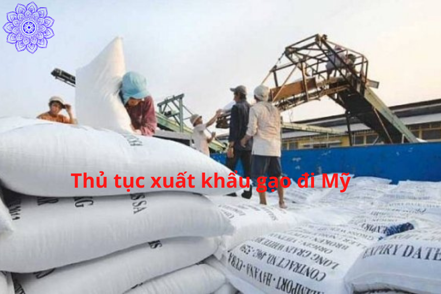 xuat khau gao di my - Thủ tục xuất khẩu gạo đi Mỹ