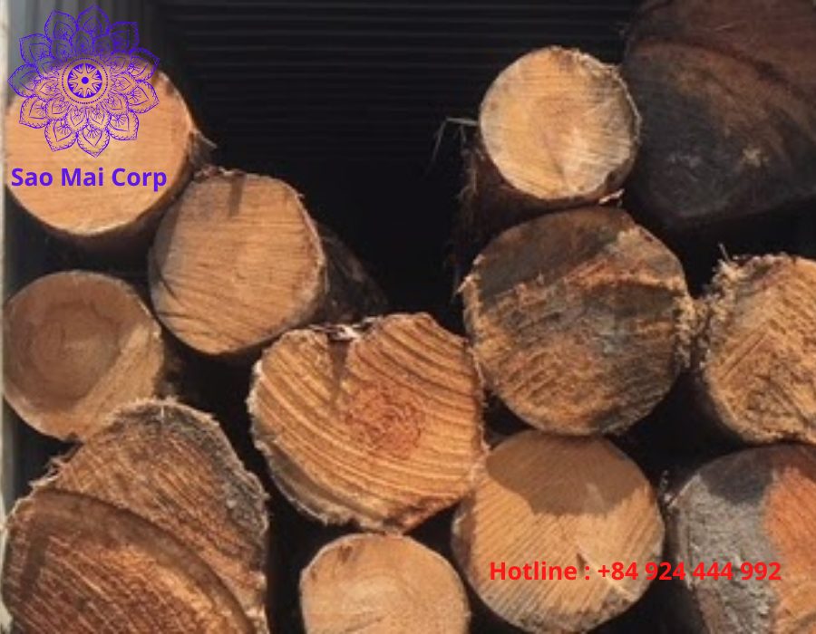 nhap khau go tron go nguyen khoi - Thủ tục nhập khẩu gỗ tròn, gỗ nguyên khối
