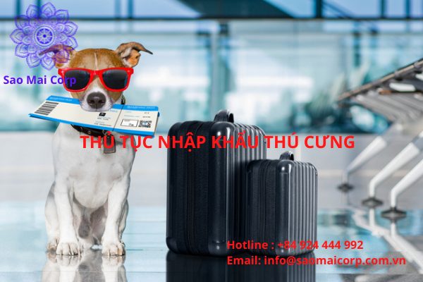 thủ tục nhập cảnh thú cưng về Việt Nam