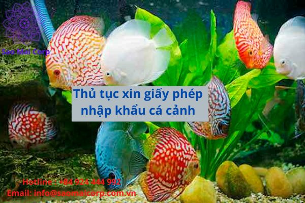 thủ tục xin giấy phép nhập khẩu cá cảnh