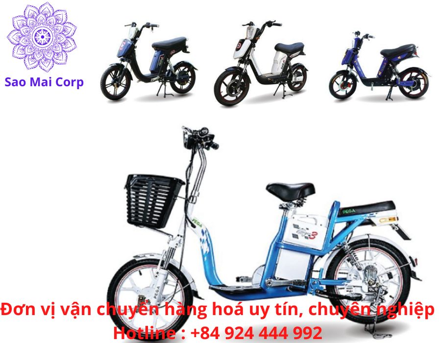 don vi nhan nhap khau xe dap dien - Quy trình làm thủ tục nhập khẩu xe đạp điện