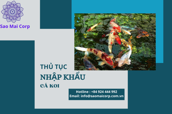 thu tuc nhap khau ca koi - Thủ tục nhập khẩu cá KOI