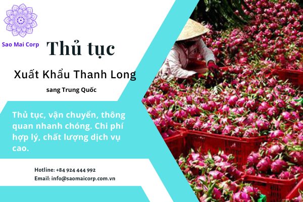 thu tuc xuat khau thanh long - Thủ tục xuất khẩu thanh long sang Trung Quốc