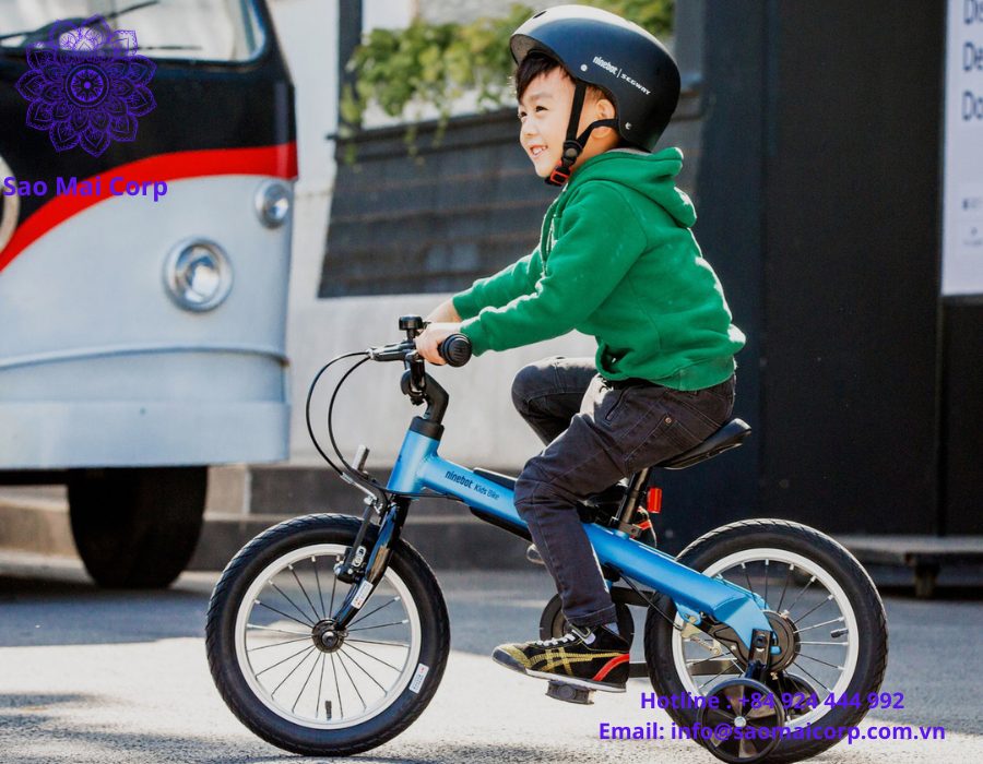 nhap khau xe dap tre em - Thủ tục nhập khẩu xe đạp trẻ em