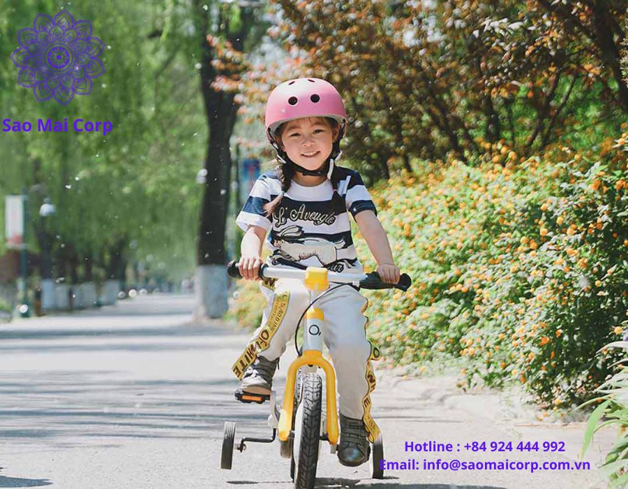 xe dap tre em nhap khau - Thủ tục nhập khẩu xe đạp trẻ em